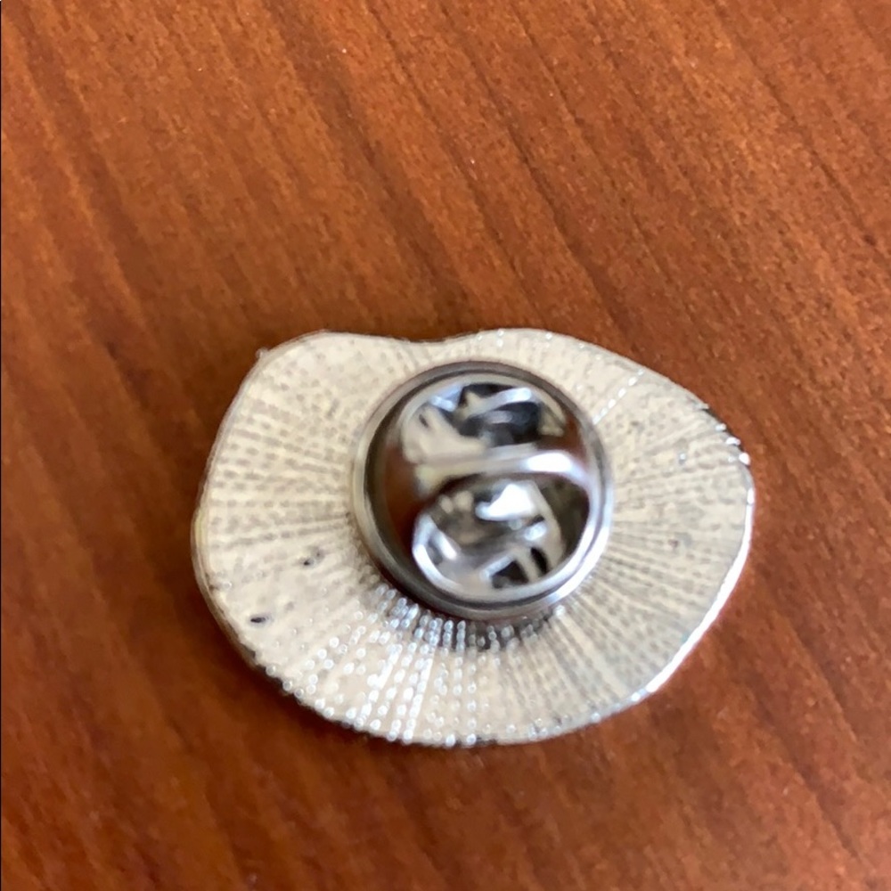 Pin - Picture 2 of 2